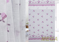 Деворе Лен в Кирове