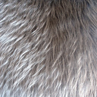 Мех искусственный длинноворсовый  в Кирове