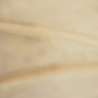 Мех искусственный, коротковорсовый  в Кирове